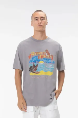 Barney cools lost paradise tee - smoke