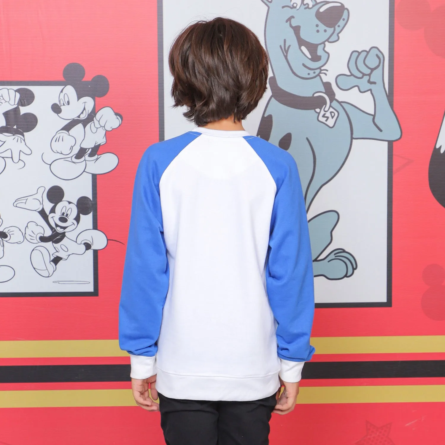 Boys Sweatshirt Character- Blue/White